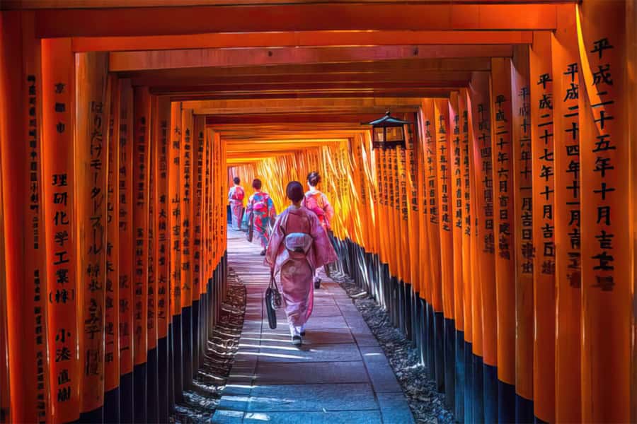 Kyoto: Fushimi, Arashiyama - Bamboo, Monkey, Torii & Secrets - The train connection and what the $88 price covers
