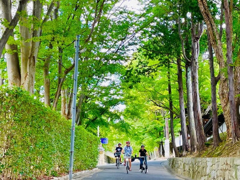 Kyoto: Fushimi Inari Shrine and Tofukuji Temple E-Bike Tour - Gion, geisha culture, and the quieter side of Kyoto