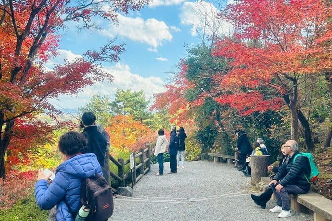 Kyoto: Geisha Dinner & Gion Cultural Walk - The guide can make or break the evening