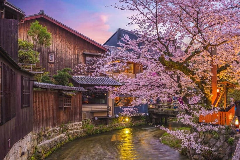 Kyoto Geisha Walking Tour: Gion District & Hidden Gems - Final verdict: book it early in your Kyoto stay