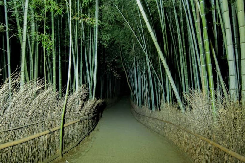 Kyoto: Ghost Tour - Legends, Dark Tales, Bamboo Forest Night - Practical advice for a better night