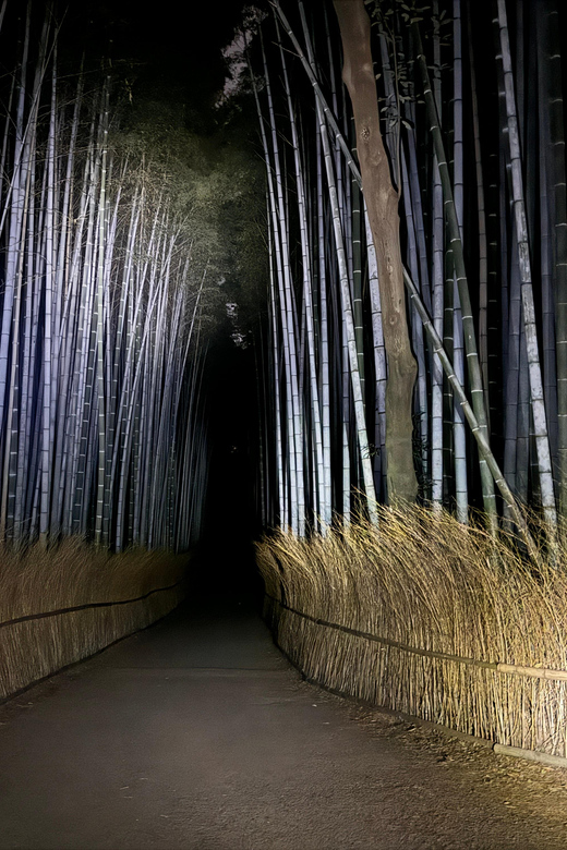 Kyoto: Ghost Tour - Legends, Dark Tales, Bamboo Forest Night - Starting at Saga-Arashiyama Station