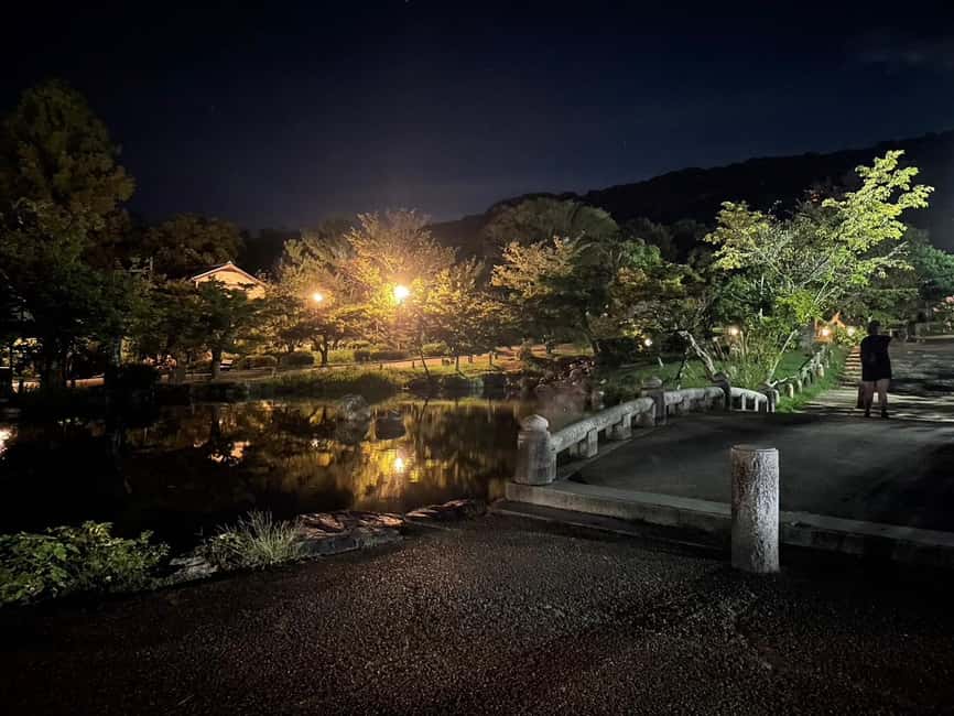 Kyoto: Gion & Geisha District Night Time Walking Tour - Hanamikoji Street and the world of geiko