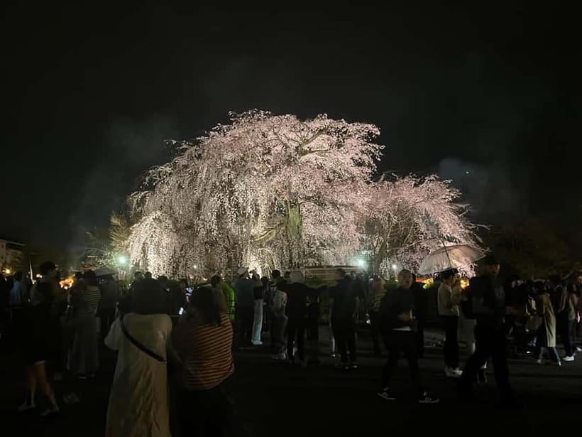 Kyoto: Gion Walking Tour - Gion-Higashi and the Working Side of Tradition