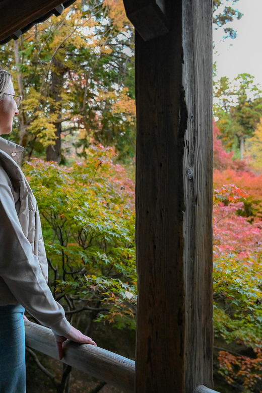 Kyoto: Half-day Guided Bike Tour with Fushimi Inari - The Takase Canal and Kamo River