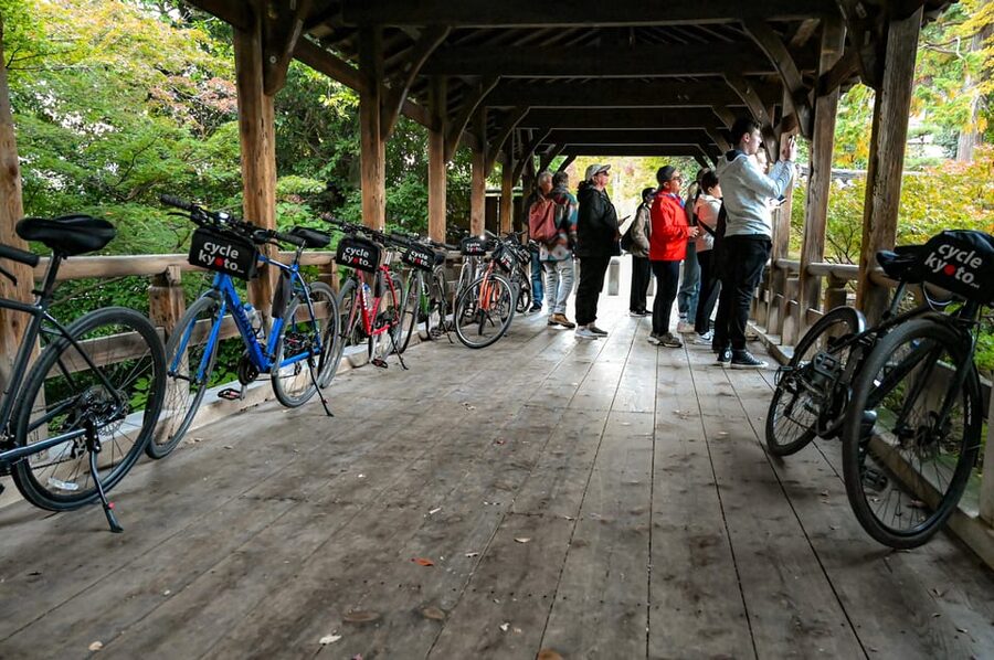 Kyoto: Half-day Guided Bike Tour with Fushimi Inari - Fushimi Inari and the orange torii gates