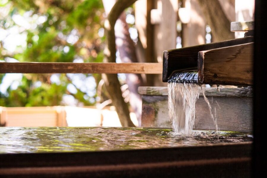 Kyoto: Immersive Arashiyama & Fushimi Inari by Private Car - Guides, flexibility, and the human side of the day