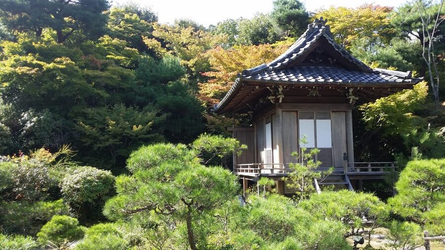 Kyoto: Immersive Arashiyama & Fushimi Inari by Private Car - Why a private car helps on a Kyoto day trip