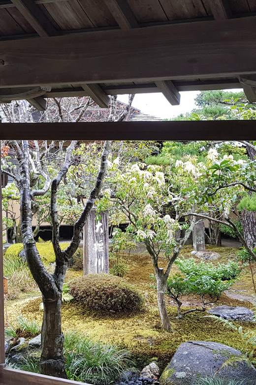 Kyoto: Immersive Arashiyama & Fushimi Inari by Private Car - Fushimi Inari and the orange torii gates