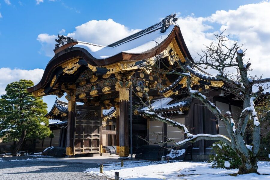 Kyoto: Imperial Palace & Nijo Castle Guided Walking Tour - Who will enjoy this Kyoto walk