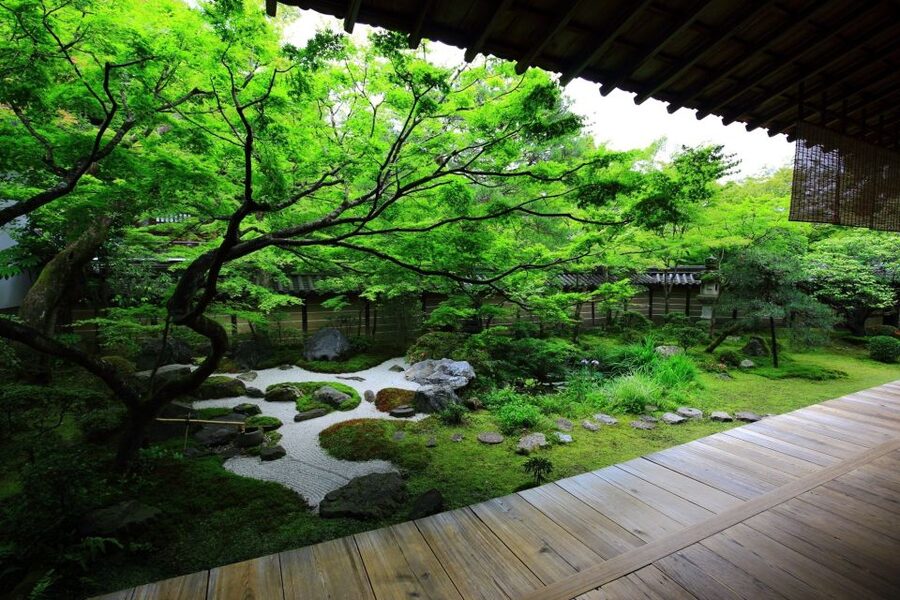 Kyoto: Japanese Gardens Private Customizable Tour - Kinkakuji, Kokedera, and the Botanical Garden