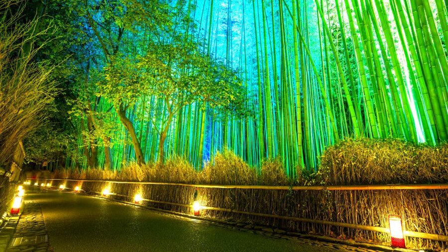 Kyoto: Japanese Gardens Private Customizable Tour - Why a private Kyoto garden tour can be worth it