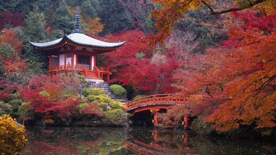 Kyoto: Japanese Gardens Private Customizable Tour - Imperial gardens and formal Kyoto design