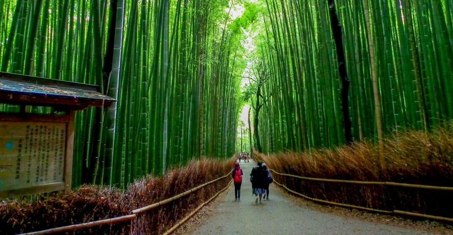 Kyoto: Japanese Gardens Private Customizable Tour - What six hours in Kyoto’s gardens may look like