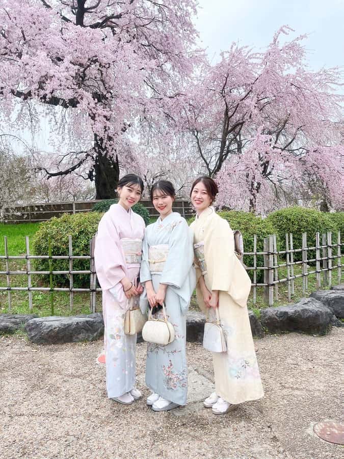 Kyoto: Kimono Rental Traditional Experience at Wargo in Gion - Choosing a Kyoto day in traditional dress
