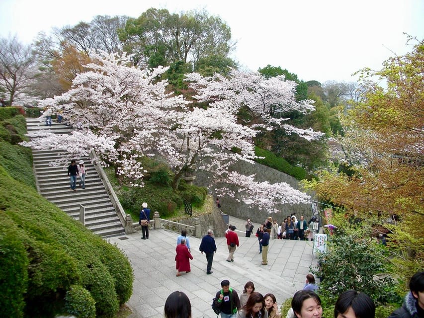 Kyoto: Kiyomizudera, Higashiyama and Yasaka Discovery Tour - Starting at 112 Tatsumichō