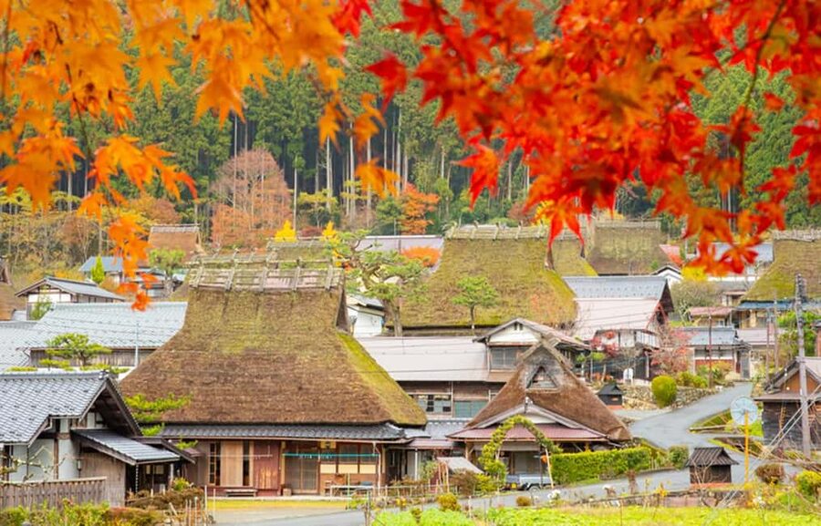 Kyoto: Miyama Village, Amanohashidate & Ine Bay Day Trip - Why this northern Kyoto route is worth the long bus ride