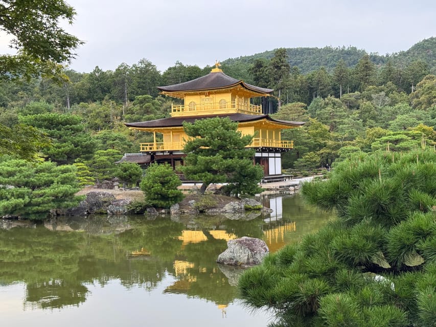 Kyoto & Nara Full Day Customised Tour - Nara Park changes the mood