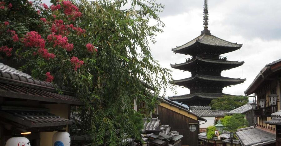 KYOTO-NARA: Giant Buddha Deer Pagoda "Geisya" (Italian, full day) - Gion, Maiko, Geiko, and the walk to Pontocho
