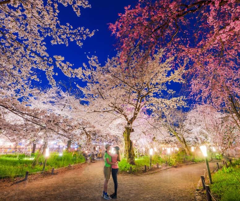 Kyoto & Nara Private Customized, Guided Tour - The guide makes or breaks the experience