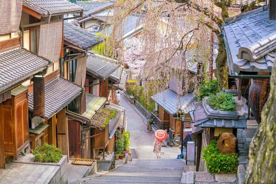 Kyoto & Nara Private Customized, Guided Tour - What this private day is really good at