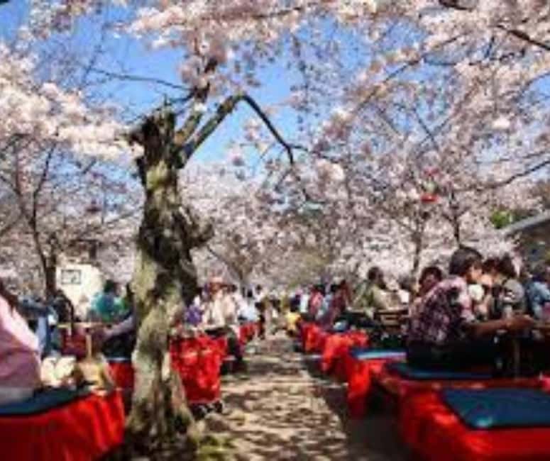 Kyoto & Nara Private Customized, Guided Tour - Nara Park brings the day’s most playful surprise
