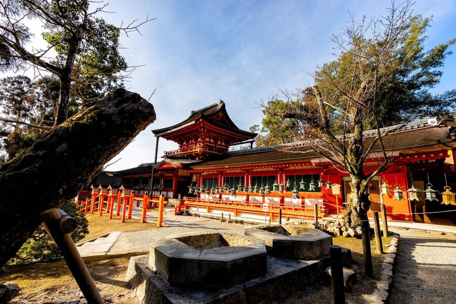 Kyoto: Nara, Todaiji, Kasuga Taisha Shrine Private Full Day - Key points to know before you book