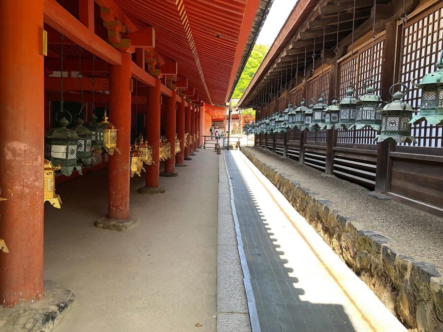 Kyoto: Nara, Todaiji, Kasuga Taisha Shrine Private Full Day - Meeting Nara’s free-roaming Sika deer