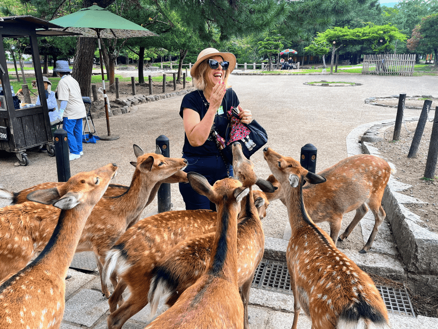 Kyoto: Nara & Traditional Matcha Experience Bus Tour - Key points at a glance