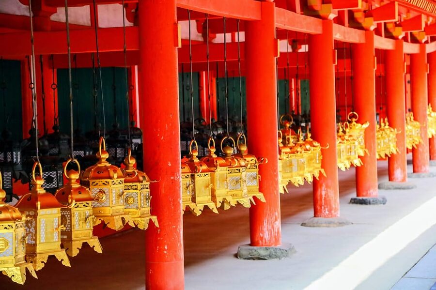 Kyoto: Nara & Traditional Matcha Experience Bus Tour - Nara Park and the famously polite deer