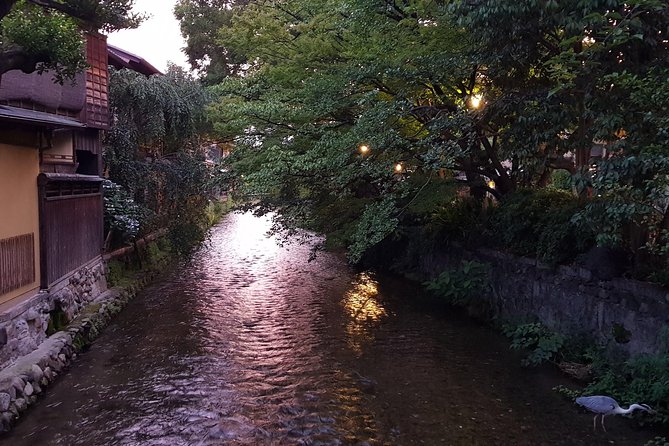 Kyoto Nighttime All-Inclusive Eats and Streets, Gion and Beyond - Pontocho and Kiyamachi on the west side of the river