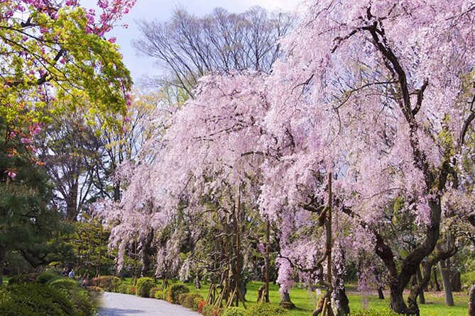 Kyoto: Nijo Castle World Heritage Guided Tour with Admission - The entrance route shows how power was staged