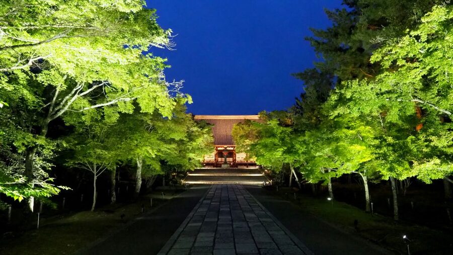 Kyoto: Ninnaji Temple Entry Ticket - A temple calendar that changes the visit