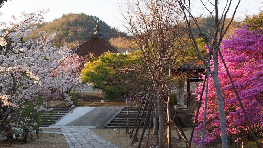 Kyoto: Ninnaji Temple Entry Ticket - Accessibility and who should choose this visit