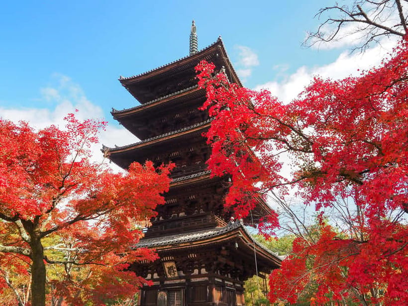 Kyoto: Ninnaji Temple Entry Ticket - Omuro sakura and the extra spring fee