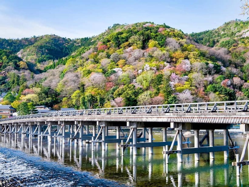 Kyoto/Osaka: Kinkakuji, Bamboo Forest, and Nara Deer Park - Is $69 good value?