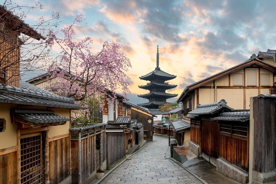 Kyoto/Osaka: Kyoto and Nara Customized Private Guided Tour - Why a private car makes sense in Kyoto