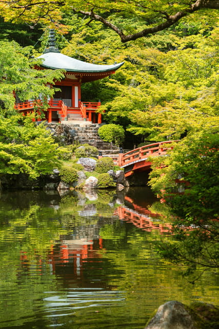 Kyoto/Osaka: Kyoto and Nara Customized Private Guided Tour - Price, group size, and real value