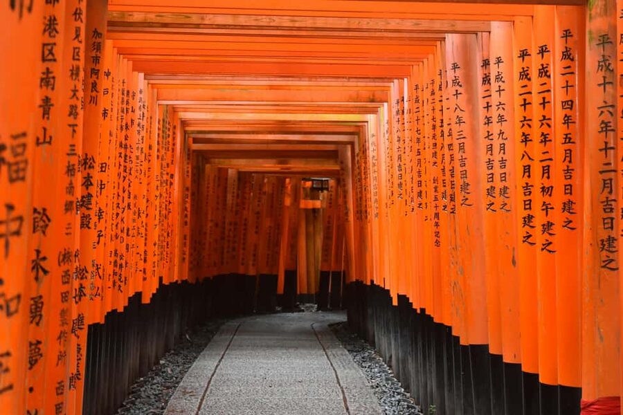 Kyoto/Osaka: Kyoto&Nara Customized Private Highlights Tour - What this private Kyoto and Nara day is really like