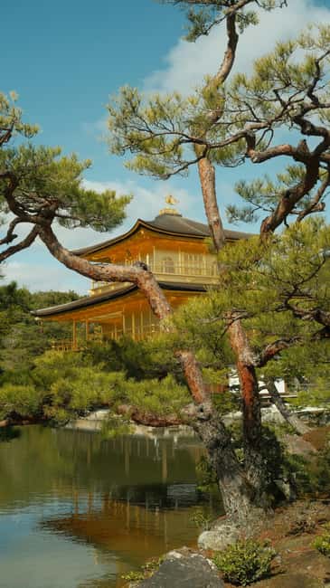 Kyoto/Osaka: Kyoto&Nara Customized Private Highlights Tour - Fushimi Inari Taisha: choose how far to walk