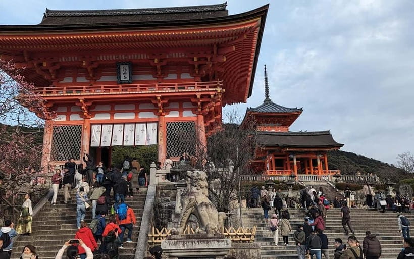 Kyoto: Personalize, private tour (3h, 5h, 8h) [W/Car Option] - A Kyoto tour that begins with your interests