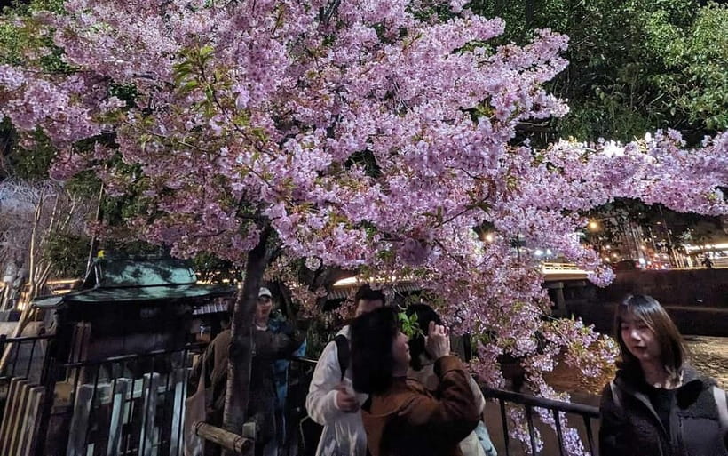 Kyoto: Personalize, private tour (3h, 5h, 8h) [W/Car Option] - Should you book the 3, 5, or 8-hour option?