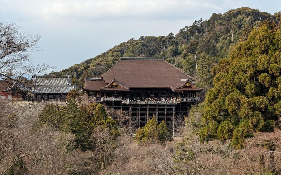 Kyoto: Personalize, private tour (3h, 5h, 8h) [W/Car Option] - A walking tour with real transport between stops