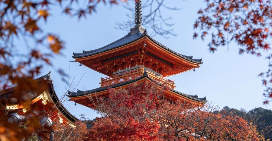 Kyoto: Personalized Guided Private Tour - A six-hour Kyoto day built around you