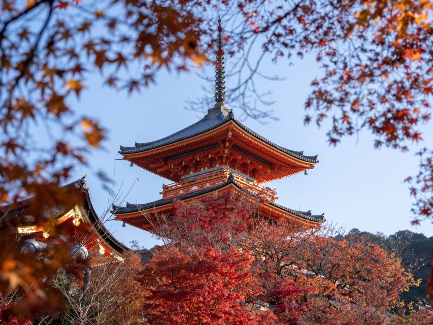 Kyoto: Personalized Guided Private Tour - Kinkaku-ji, the Golden Pavilion