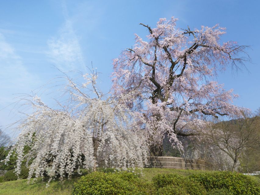 Kyoto: Private 2.5 Hour Historical Walking Tour - Yasaka Koshin-do and the five-storied pagoda
