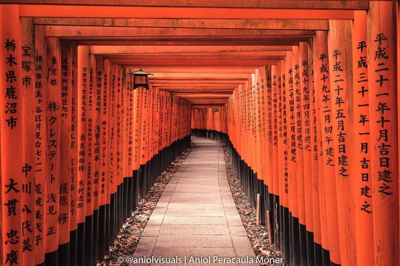Kyoto: Private Customizable Day Tour with Guide and Vehicle - Key points to know before booking
