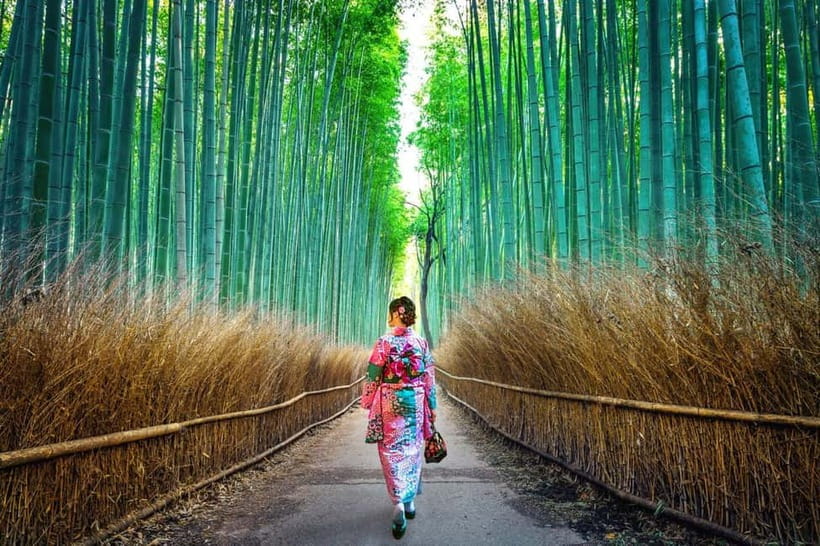 Kyoto: Private Customizable Day Tour with Guide and Vehicle - Arashiyama Bamboo Forest and western Kyoto
