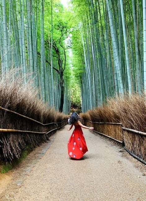 Kyoto: Private Customizable Day Tour with Guide and Vehicle - Gion and Kyoto’s old teahouse streets