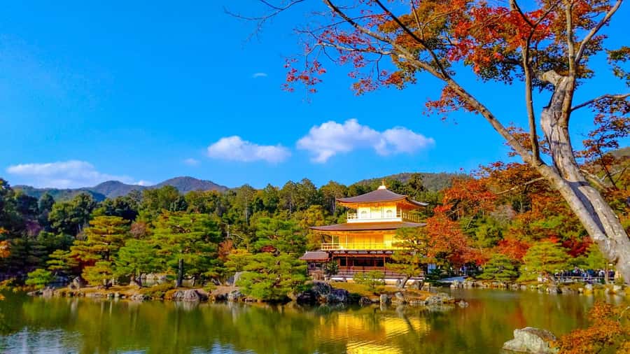 Kyoto: Private Customizable Day Trip by Car - Kinkaku-ji is brief, bright, and easy to recognize
